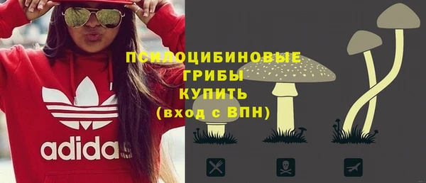 ешки Абаза