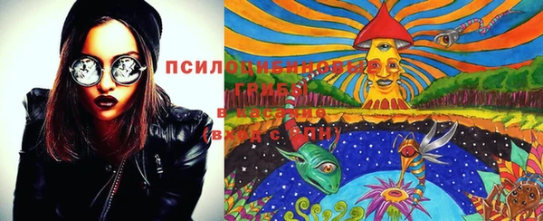 ешки Абаза