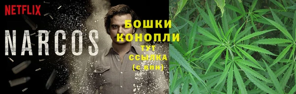ешки Абаза