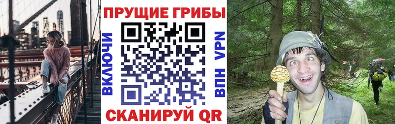 даркнет сайт  Пудож  Псилоцибиновые грибы ЛСД 