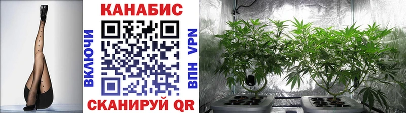 дарк нет наркотические препараты  где купить наркоту  Пудож  Каннабис план 